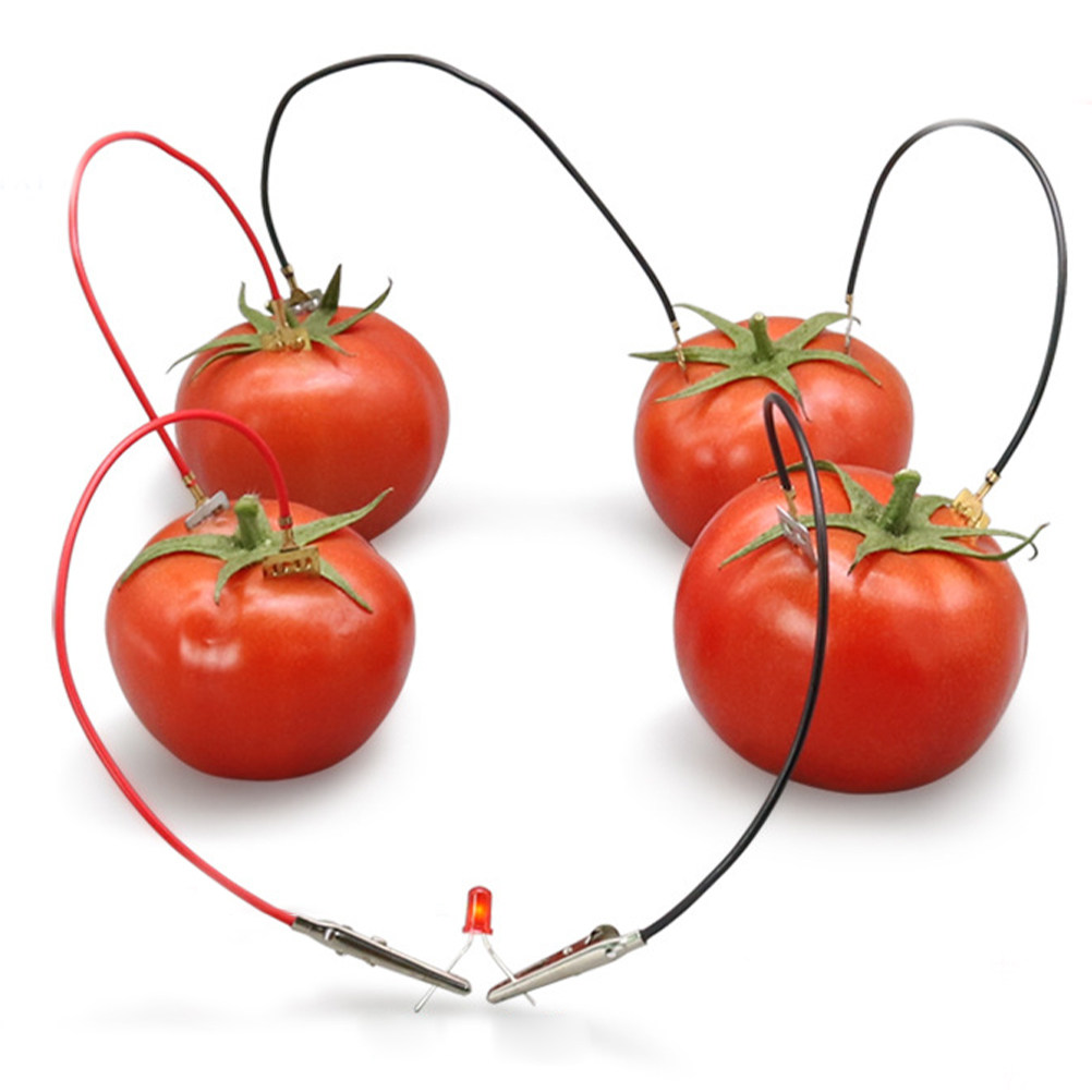 3Sets Fruit Battery Science Ex - Renewable Energy For Kids ulasan dan harga