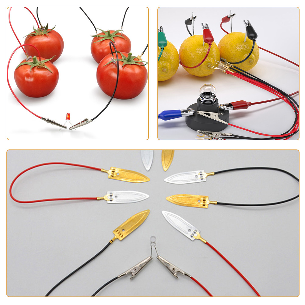 3Sets Fruit Battery Science Ex - Renewable Energy For Kids ulasan dan harga